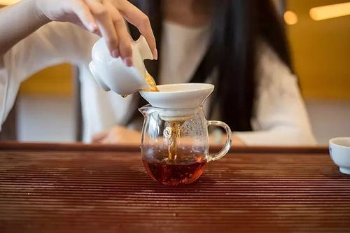 普洱熟茶的轉(zhuǎn)化歷程