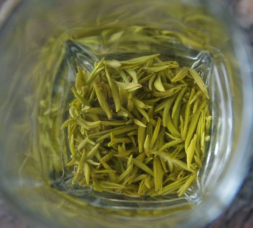 踔厲奮發(fā)二十載,雅山雅水變 茶海 寫(xiě)在 世界茶文化蒙頂山宣言 發(fā)布20周年之際