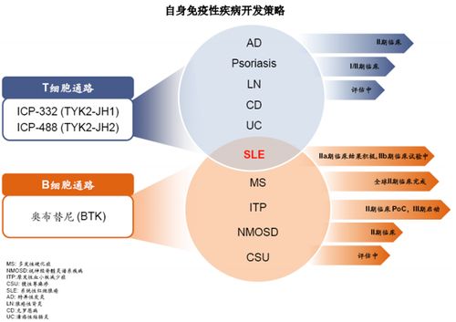 直擊業(yè)績(jī)說明會(huì) 摘 b 之后 現(xiàn)金玩家 諾誠(chéng)健華想要成為生物制藥公司